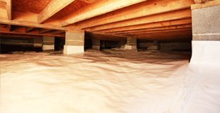 mold in a crawl space